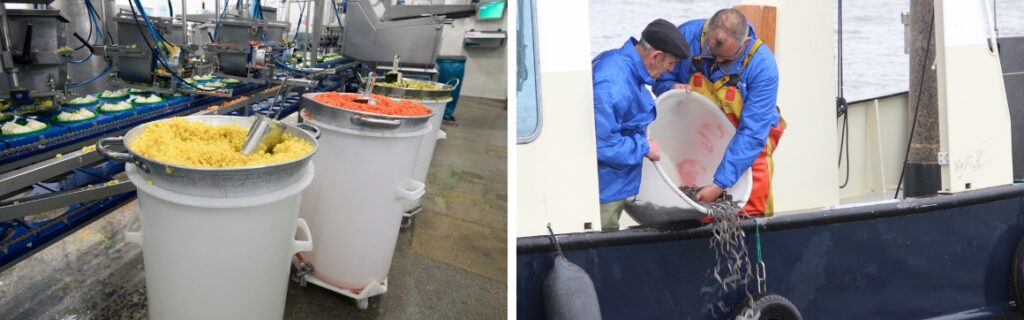 Hygiënische emmers, kuipen en tonnen voor de levensmiddelenindustrie