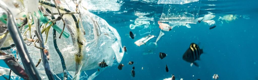 Plastic (not so) fantastic